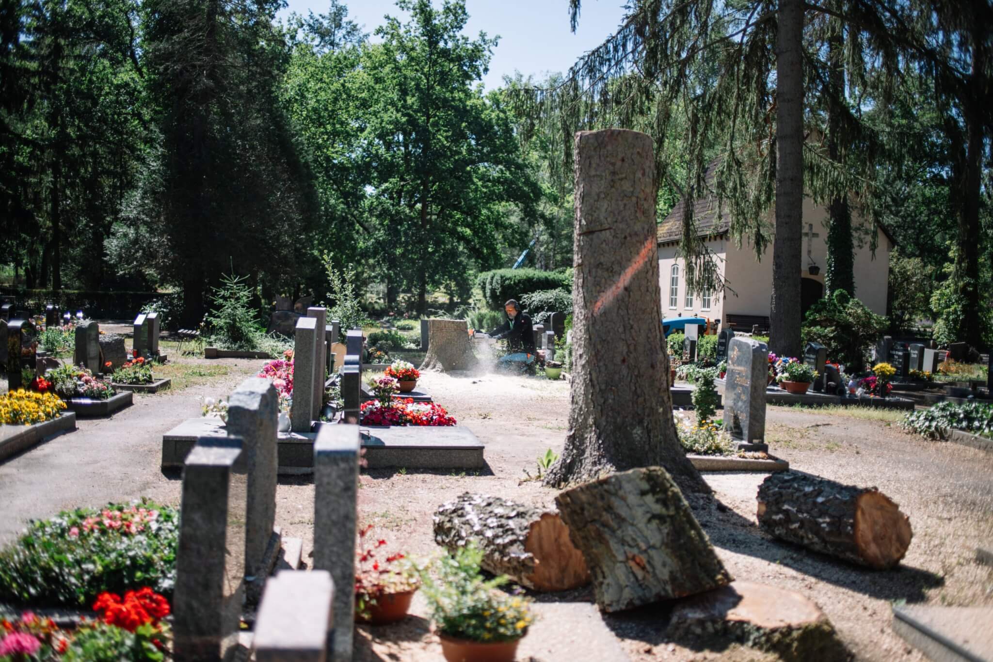 Schreitbagger Friedhof-3