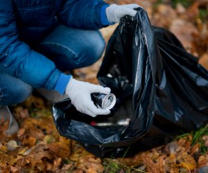 cleaning in the forest by volunteers. Girl puts a crumpled can in a trash bag